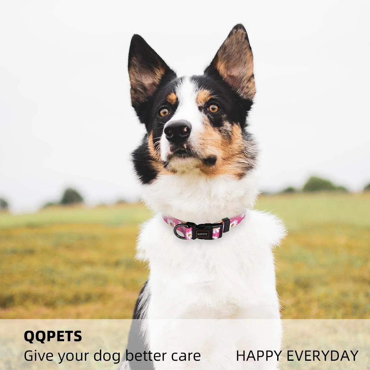 QQPETS Adjustable Soft Dog Collar: Print Flower Pink Multicolor Cute Patterns for XS Small Medium Large Pet Girl Boy Puppy Walking Running Training (S, Small Daisies)