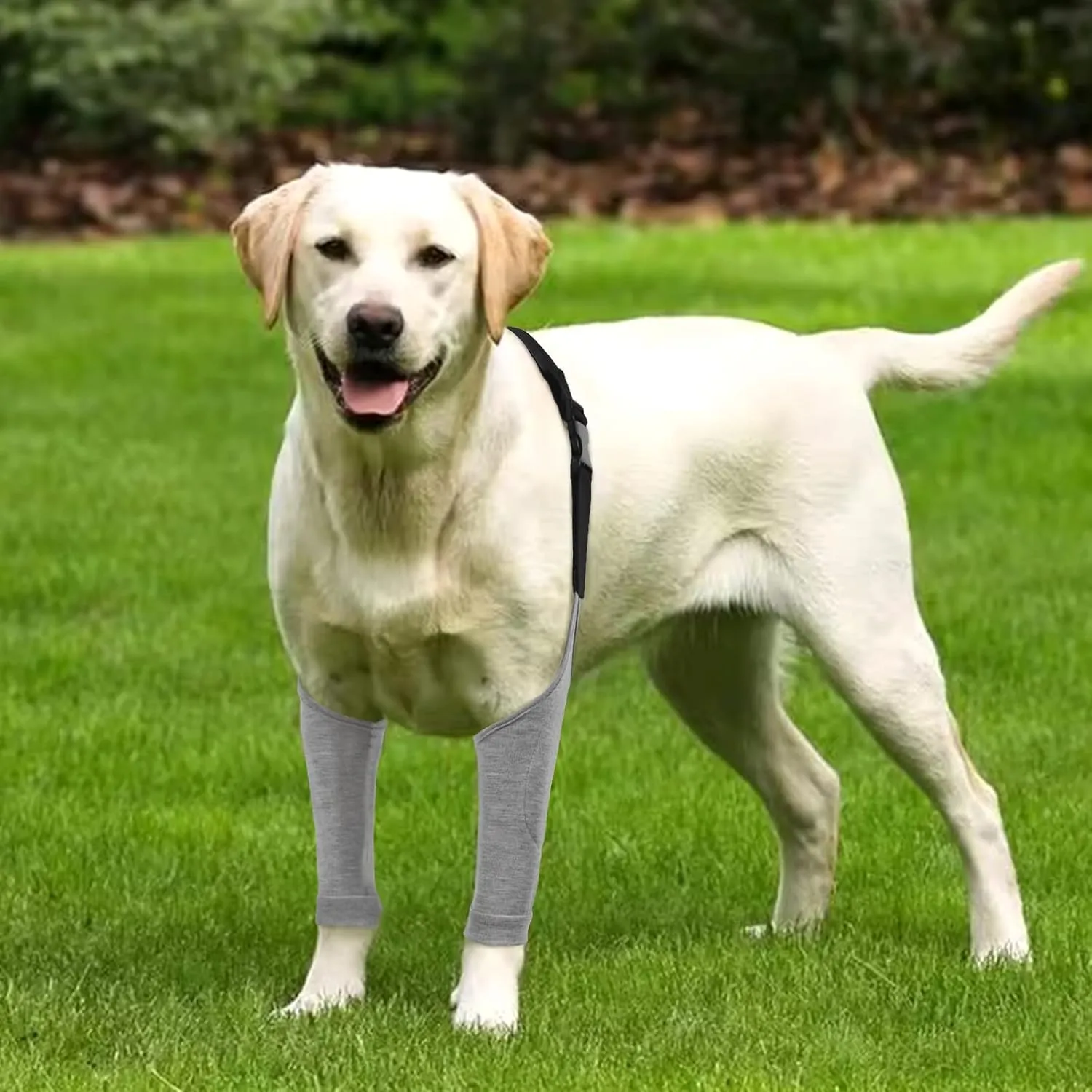Recovery Suit Front Legs, Dog Sleeve After Surgery With Elastic Band, Protective Elbow Protector for Medium Large Dogs, Cone Alternative to Stop Licking Leg Wounds, Grey, L