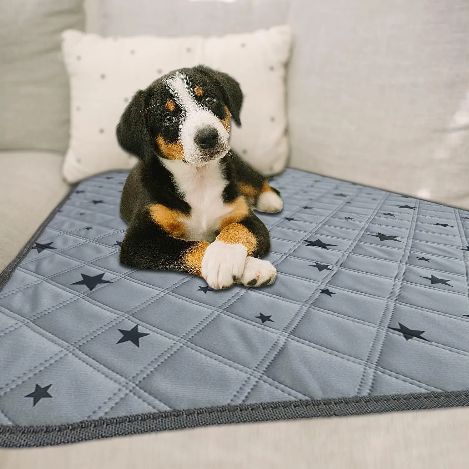 RIOUSSI Washable Pee Pads for Dogs, Reusable, Absorbent, Leakproof, Non Slip Pet Puppy Pads for Potty Training. Gray Stars, 18x24 Inch(4pack)