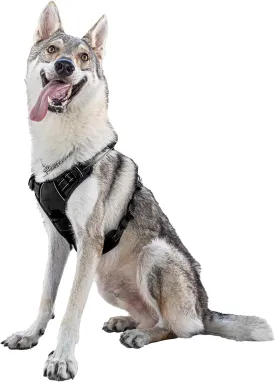SATSUN No-Pull Dog Harness with Handle,Easy Walk Dog Vest Harness for Large Dogs with Leash Clips,Breathable Reflective Step-in Pet Harness,Ideal for Training Strolling Hiking,Black,XL