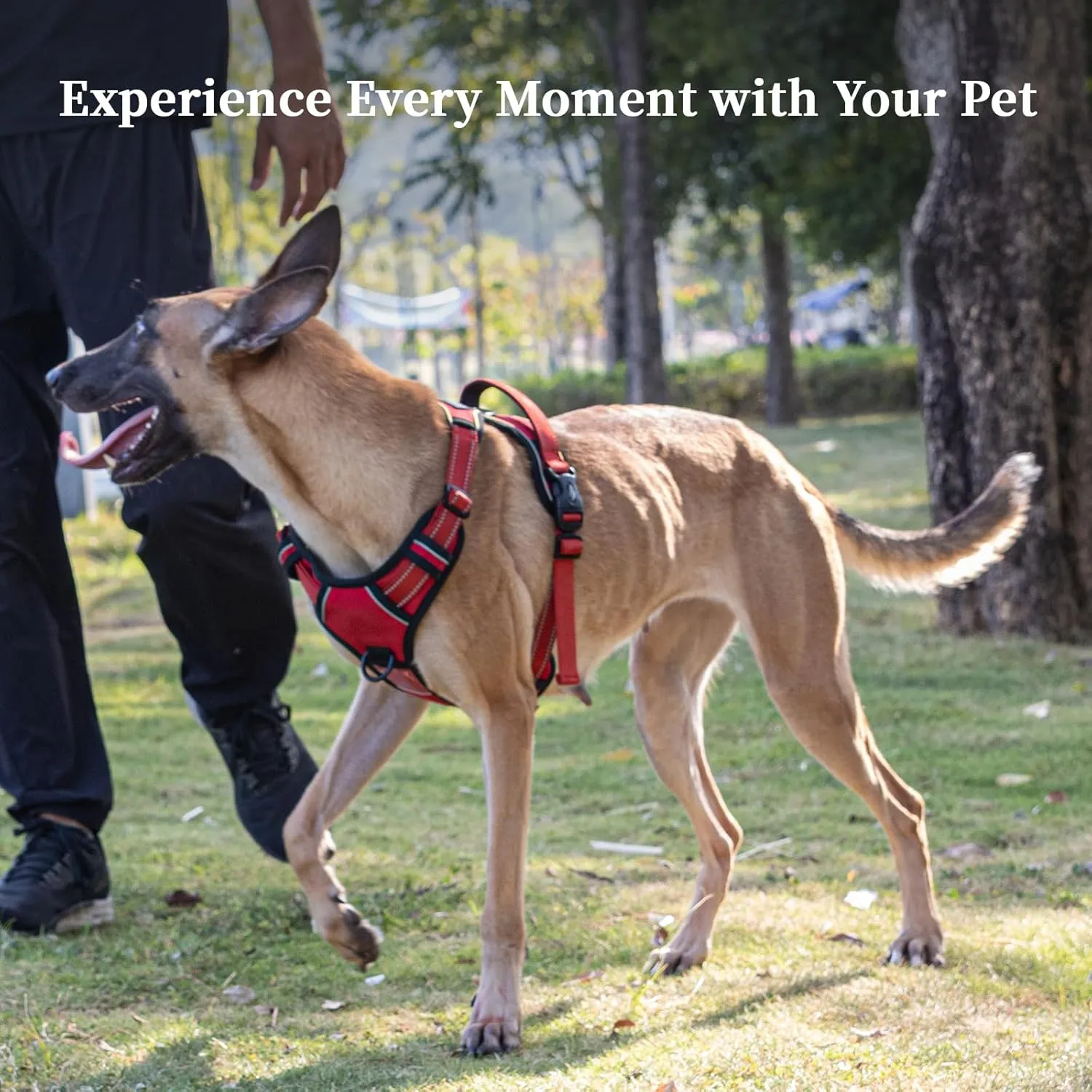 SATSUN No-Pull Dog Harness with Handle,Easy Walk Dog Vest Harness for Large Dogs with Leash Clips,Breathable Reflective Step-in Pet Harness,Ideal for Training Strolling Hiking,Black,XL