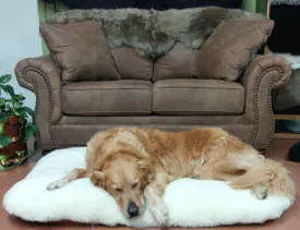 Sheep Wool Pet Beds