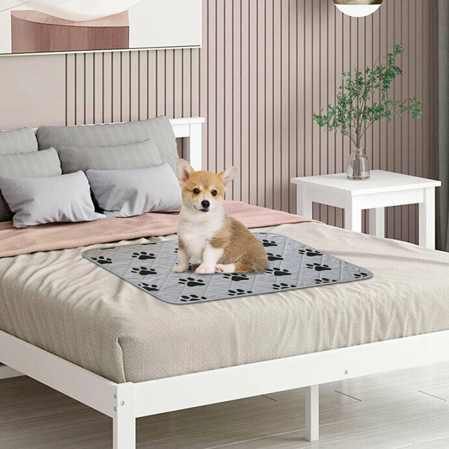 SPXTEX Dog Crate Pads Dog Pee Pads Rugs Washable Dog Pads, Non Slip Puppy Pee Pads for Small Dogs, Waterproof Pet Pad Rug, Dog Whelping Training Pads for Dogs, 1 Pieces, 52"x82"