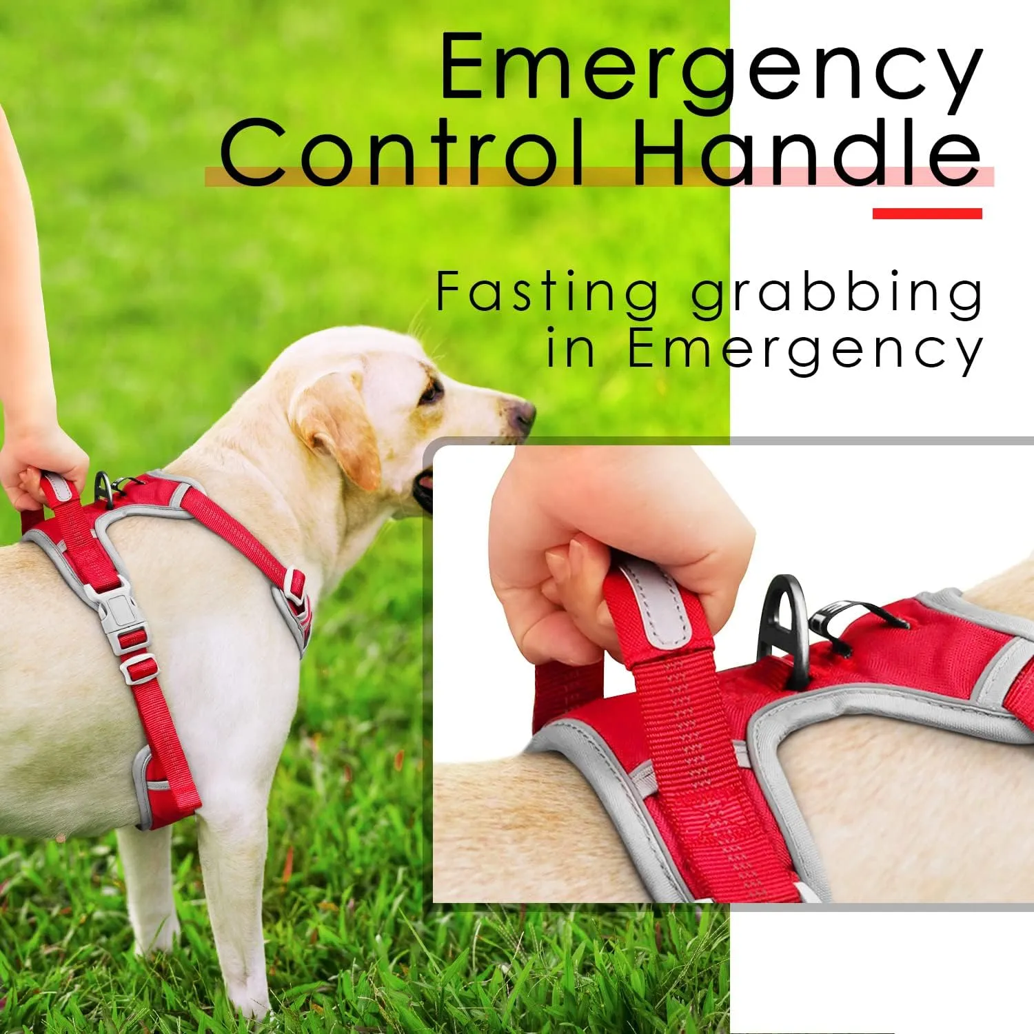 ThinkPet No Pull Harness Set Breathable Sport Harness with Handle - Reflective Padded Dog Safety Vest with Reflective Neon Dog Leash XL Harness Leash Pack Red
