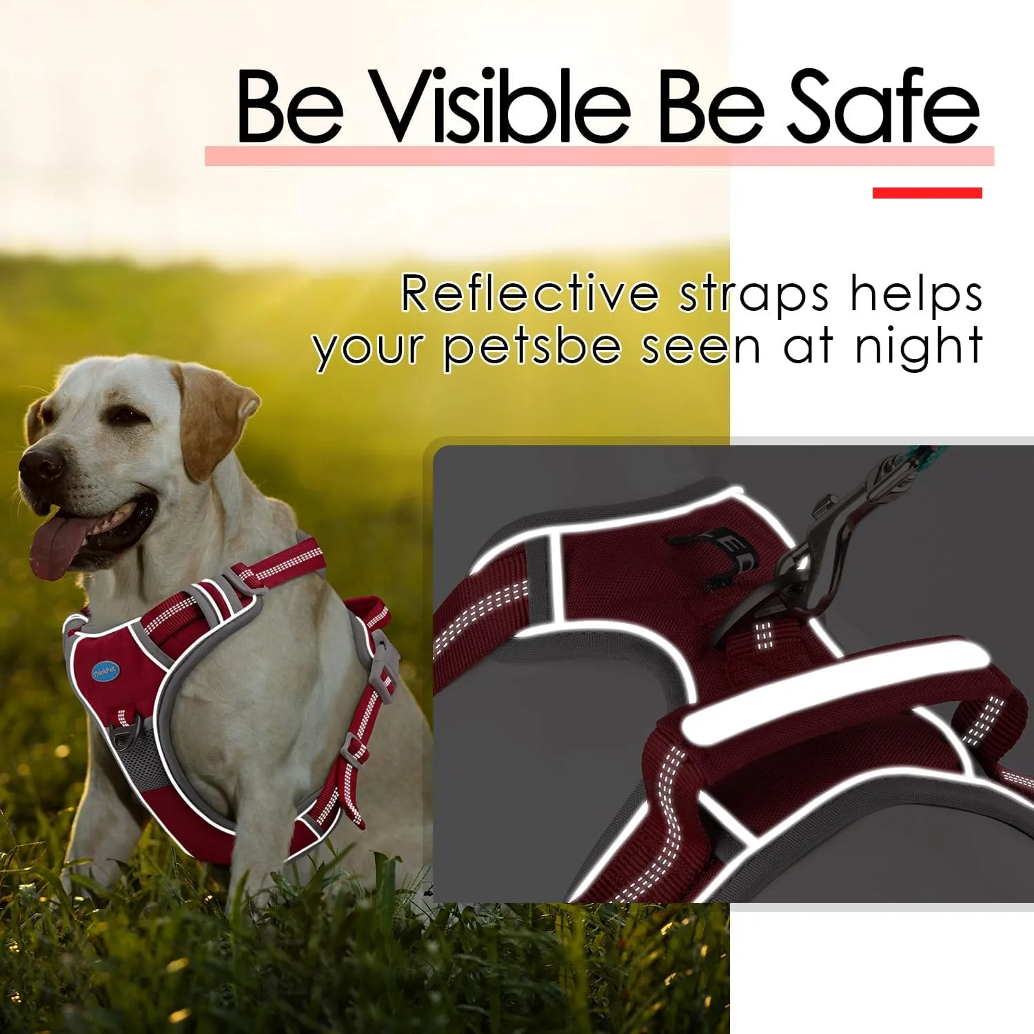 ThinkPet No Pull Harness Set Breathable Sport Harness with Handle - Reflective Padded Dog Safety Vest with Reflective Neon Dog Leash XL Harness Leash Pack Red